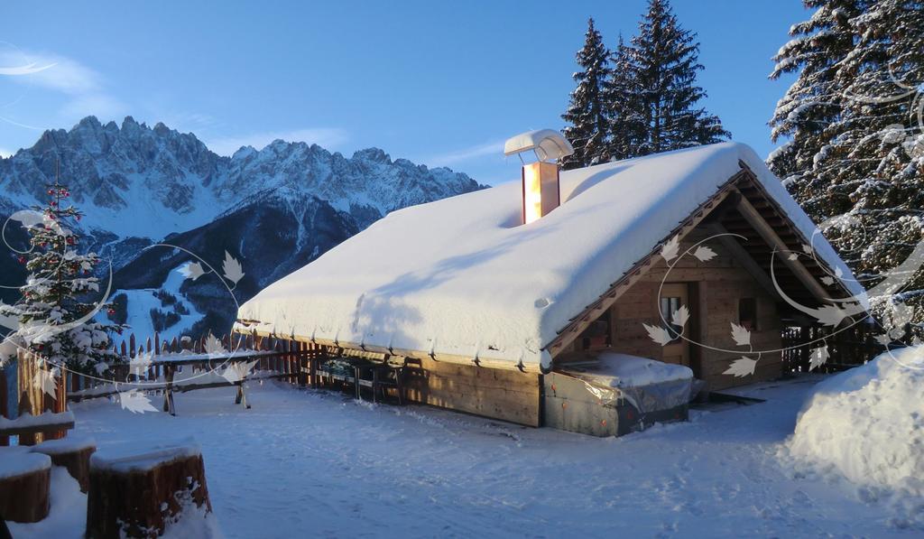 Glinzhof Mountain Natur Resort Agriturismo Сан-Кандідо Екстер'єр фото